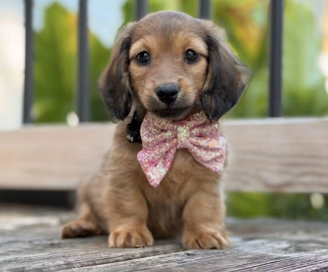 Ruby