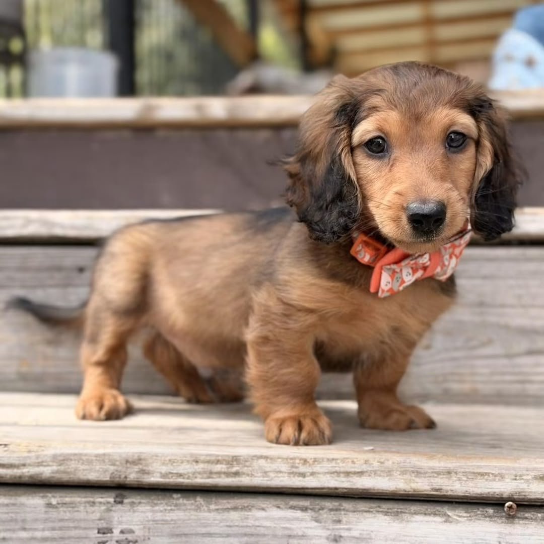 Rusty